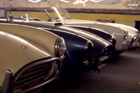 Video: With Over 50 Cobras, Just Call Him Mr. Cobra